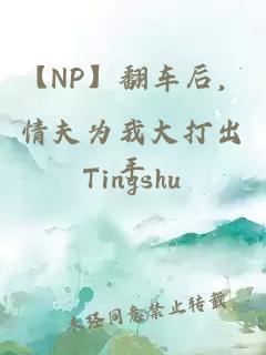 【NP】翻车后，情夫为我大打出手