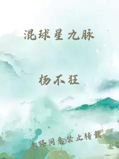 混球星九脉