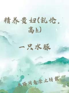 精养贵妇(乱伦，高h)