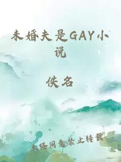 未婚夫是GAY小说