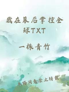 我在幕后掌控全球TXT