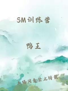 SM训练营