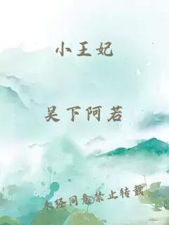 小王妃