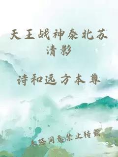 天王战神秦北苏清影