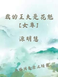 我的王夫是花魁[女尊]