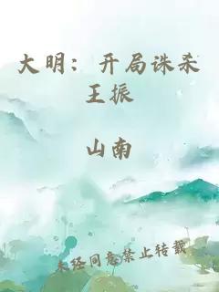 大明：开局诛杀王振