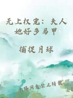 无上权宠：夫人她好多马甲